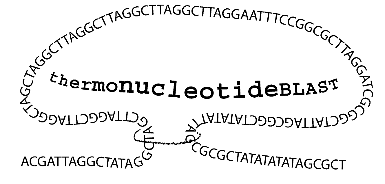 thermonucleotideBLAST logo